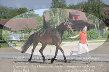 ref. photo 3200869