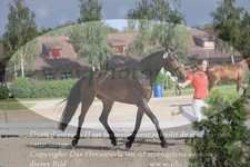 ref. photo 3200870