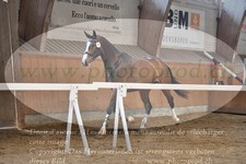 ref. photo 3200882