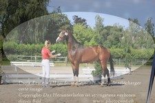 ref. photo 3200903