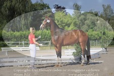 ref. photo 3200905