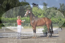 ref. photo 3200906