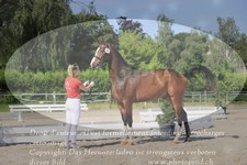 ref. photo 3200907