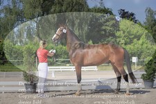 ref. photo 3200910