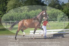 ref. photo 3200912