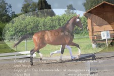 ref. photo 3200913