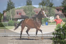 ref. photo 3200916