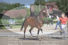 ref. photo 3200918