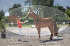 ref. photo 3200942