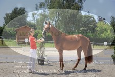 ref. photo 3200943