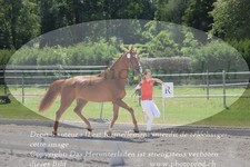 ref. photo 3200945