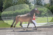 ref. photo 3200996