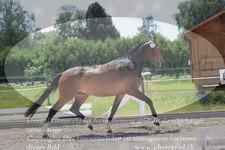 ref. photo 3200997