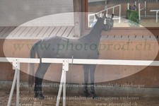 ref. photo 3201044