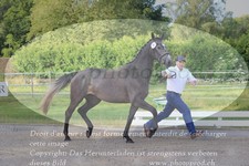ref. photo 3201065