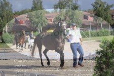 ref. photo 3201069