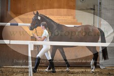 ref. photo 3201072