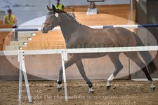 ref. photo 3201077