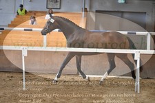 ref. photo 3201081