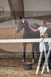 ref. photo 3201091