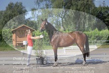 ref. photo 3201099