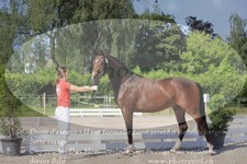 ref. photo 3201105