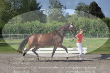 ref. photo 3201110