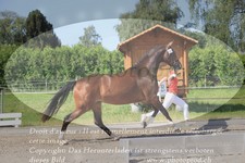 ref. photo 3201111