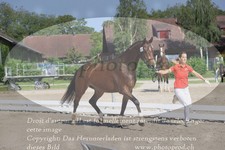 ref. photo 3201113