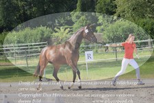 ref. photo 3201115