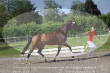 ref. photo 3201117
