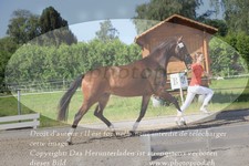 ref. photo 3201118