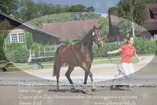 ref. photo 3201120