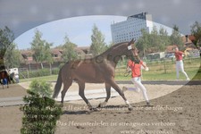 ref. photo 3201122