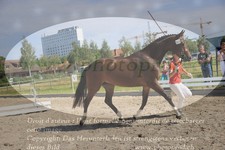 ref. photo 3201123