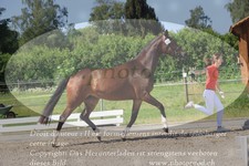 ref. photo 3201126