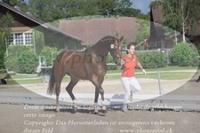 ref. photo 3201128