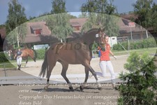 ref. photo 3201129