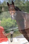 ref. photo 3201130
