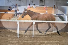 ref. photo 3201193