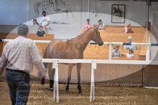 ref. photo 3201200