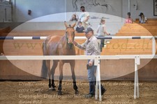 ref. photo 3201202