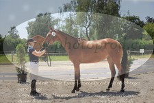 ref. photo 3201212
