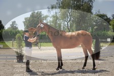 ref. photo 3201214