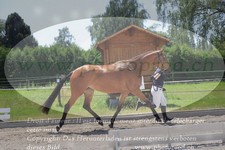 ref. photo 3201225