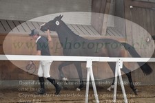 ref. photo 3201236