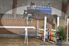 ref. photo 3201239