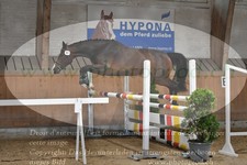 ref. photo 3201244