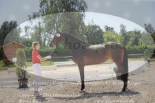 ref. photo 3201249