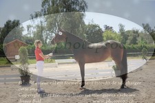 ref. photo 3201251